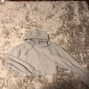 cropped Champion hoodie (SAVE $40)